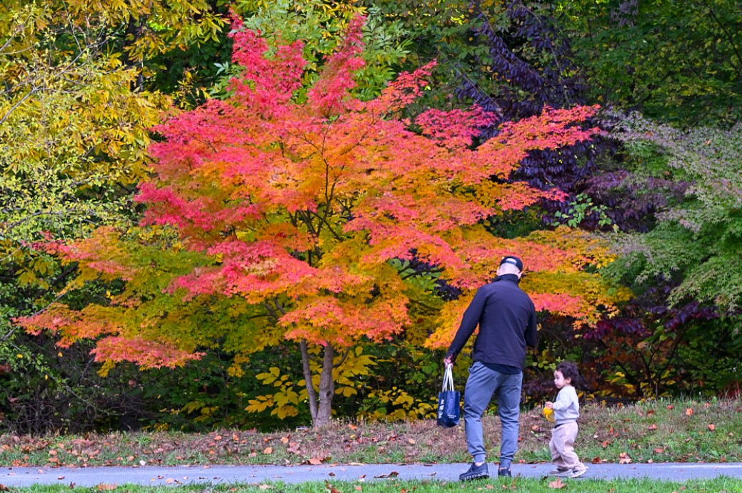 Digital Photography Live In-the-Field @ Brookside Gardens