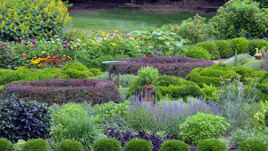 Digital Photography Live In-the-Field @ Arnold Arboretum