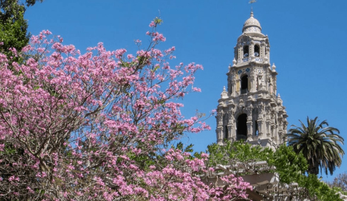 Digital Photography Live In-the-Field @ Balboa Park