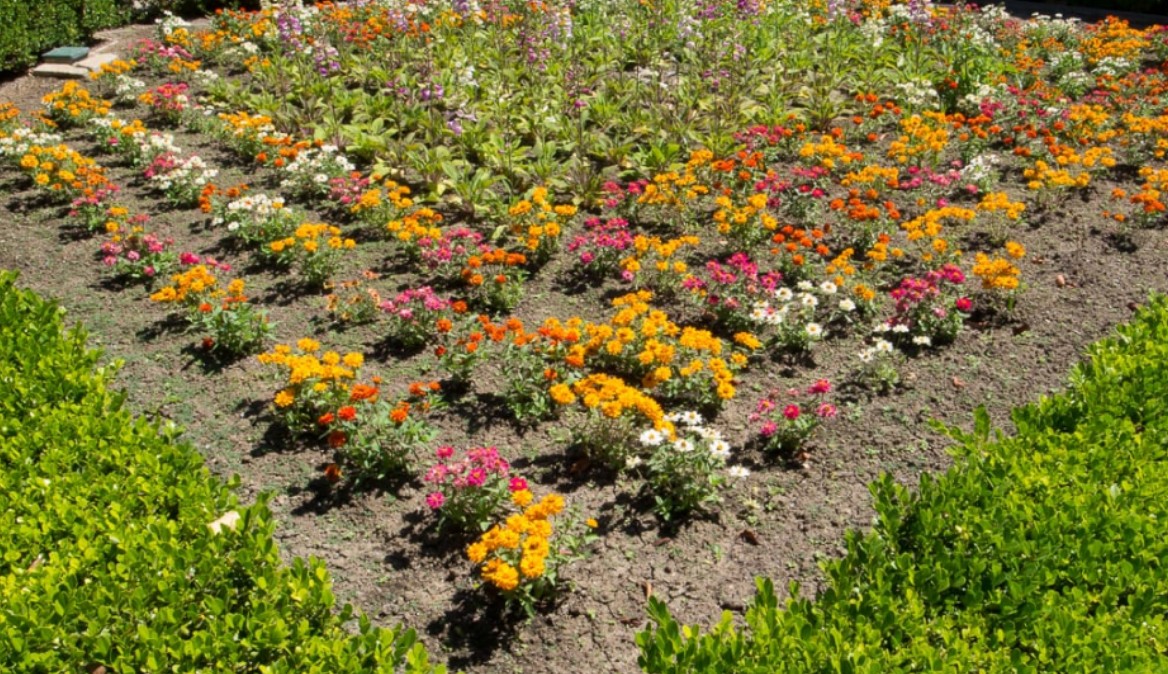 Digital Photography Live In-the-Field @ Balboa Park