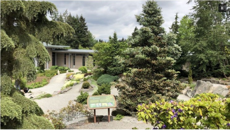 Digital Photography Live In-the-Field @ Bellevue Botanical Garden