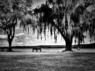 5-Hour Cell Phone Photography Masterclass for 1-6 People (Chicago)