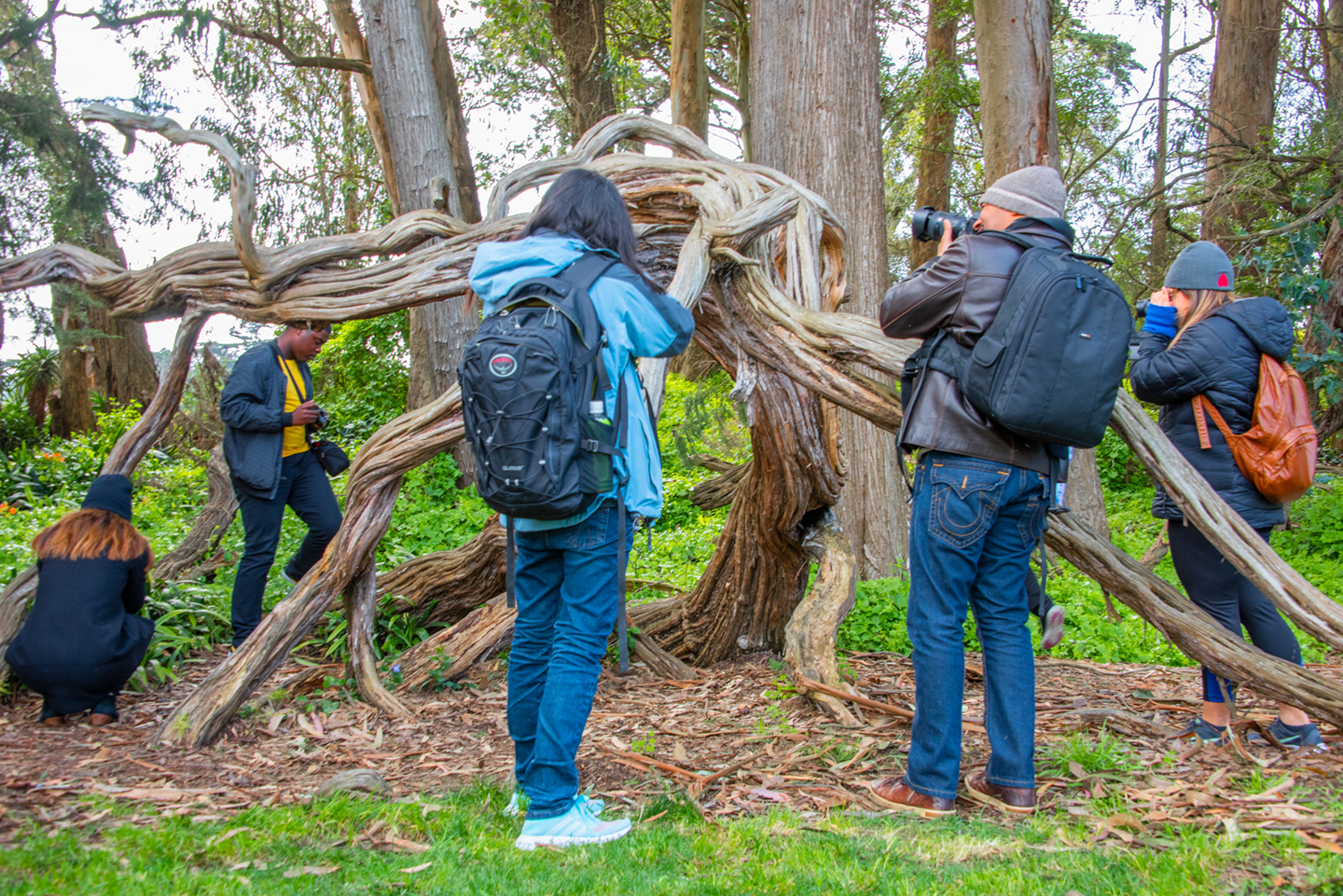 Digital Photography Live In-the-Field @ Conservatory of Flowers