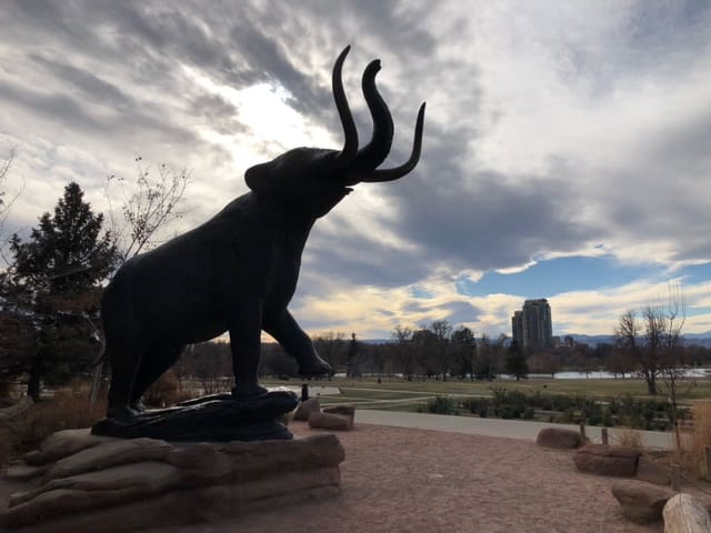 Digital Photography Live In-the-Field @ Denver Museum of Nature and Science