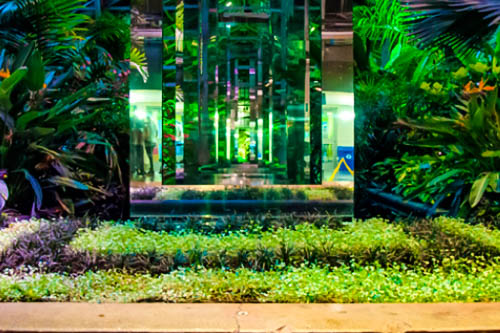 Digital Photography Live In-the-Field @ Garfield Park Conservatory