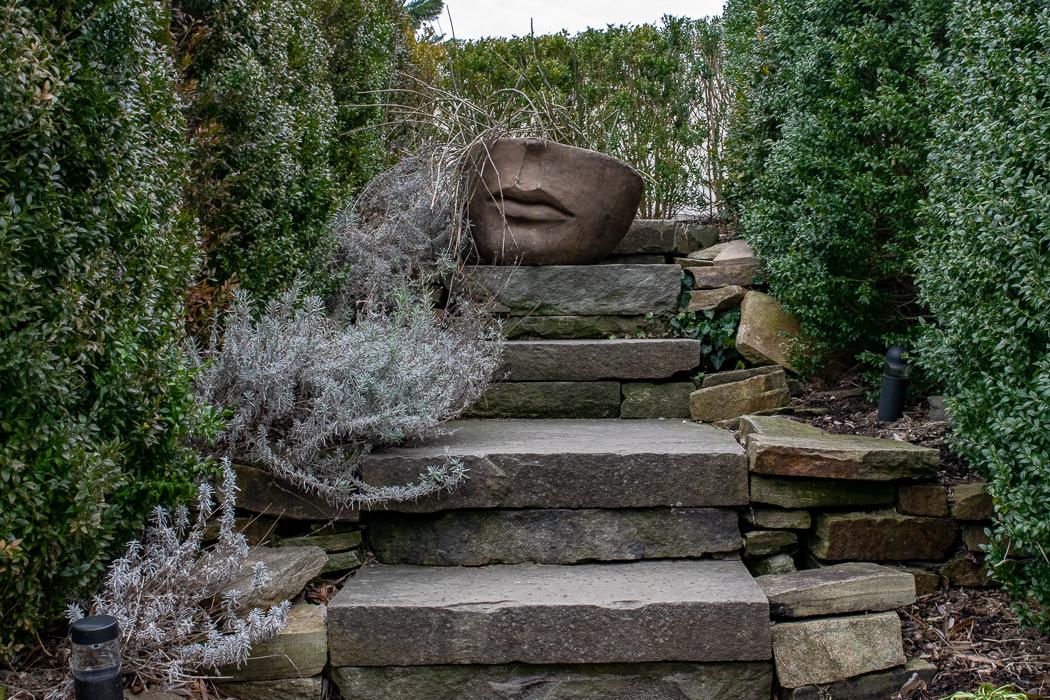 Digital Photography Live In-the-Field @ Grounds for Sculpture (New Jersey)