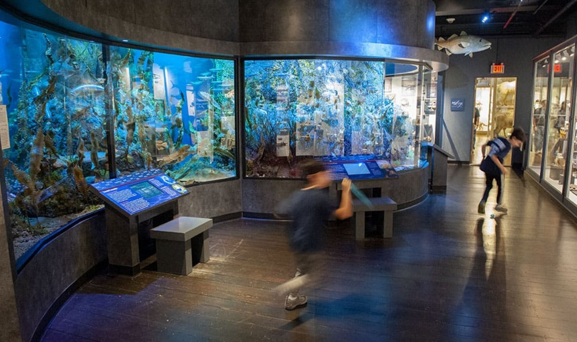 Digital Photography Live In-the-Field @ Harvard Museum of Natural History