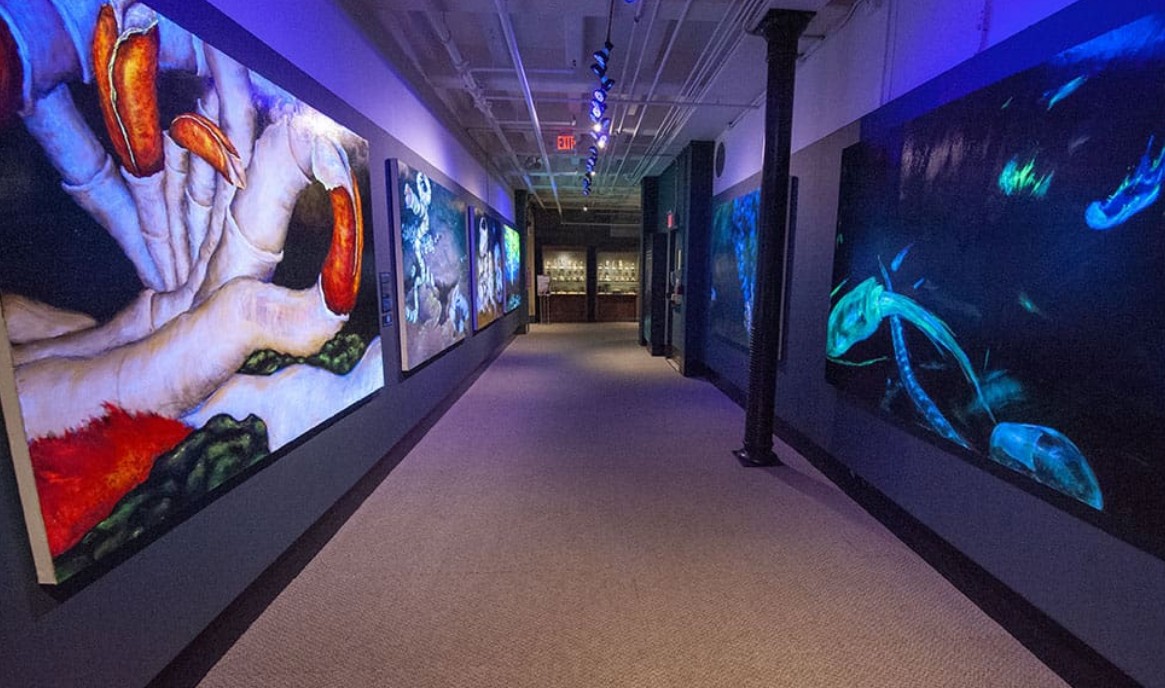 Digital Photography Live In-the-Field @ Harvard Museum of Natural History