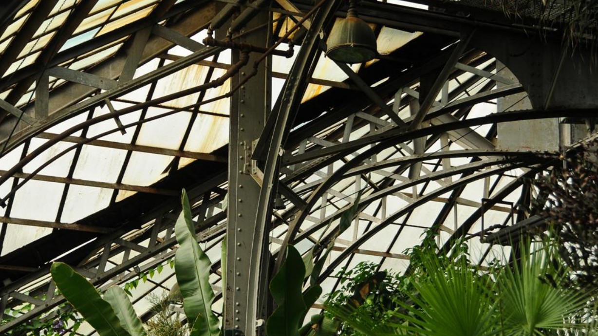 Digital Photography Live In-the-Field @ Lincoln Park Conservatory
