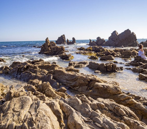 Digital Photography Live In-the-Field @ Little Corona del Mar Beach
