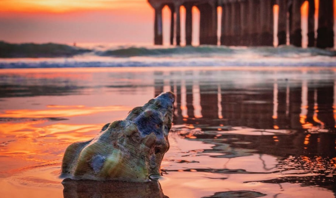 Digital Photography Live In-the-Field @ Manhattan Beach Sunset Shoot