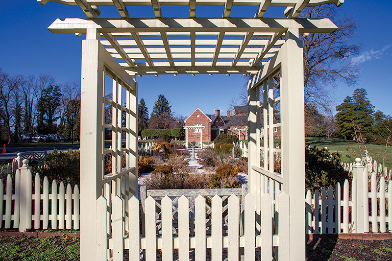 Digital Photography Live In-the-Field @ The Montpelier House Museum