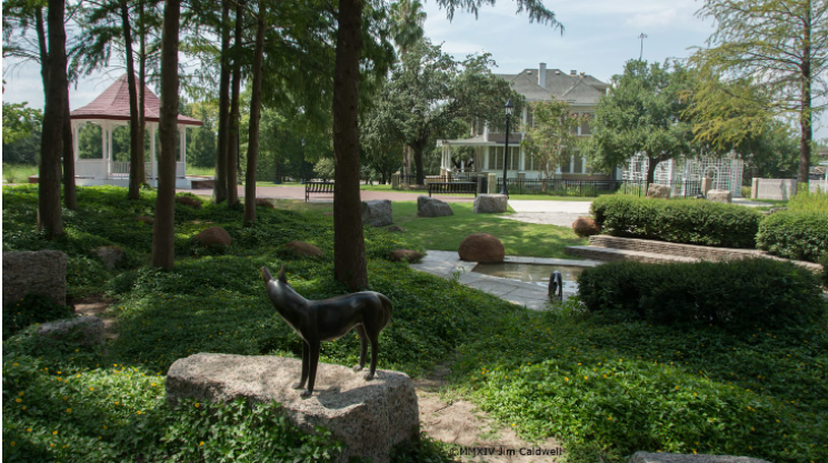 Digital Photography Live In-the-Field @ Sam Houston Park