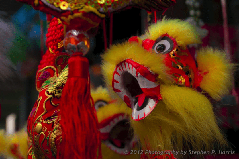 Digital Photography Live In-the-Field @ Chinatown NY
