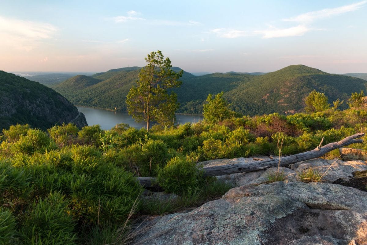Digital Photography Live In-the-Field @ Storm King State Park (Hudson Valley)