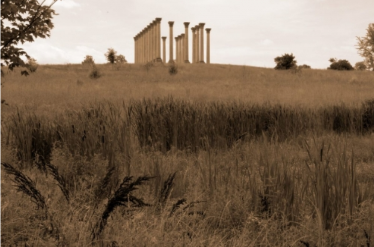 Digital Photography Live In-the-Field @ United States National Arboretum