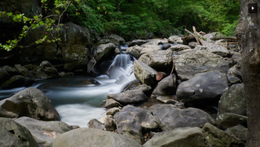 Digital Photography Live In-the-Field @ Burnt Mills