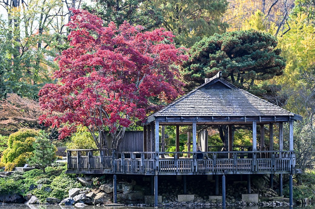 Digital Photography Live In-the-Field @ Brookside Gardens