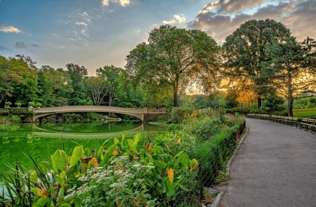 central park 7.jpg