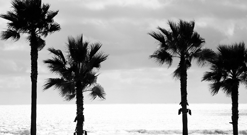 Digital Photography Live In-the-Field @ Coronado Island