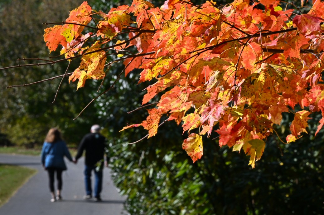 Digital Photography Live In-the-Field @ Brookside Gardens