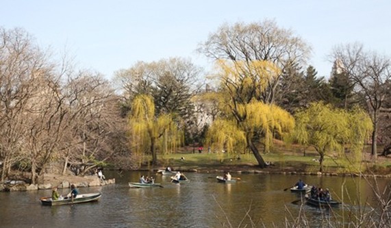 Digital Photography Live In-the-Field @ Central Park