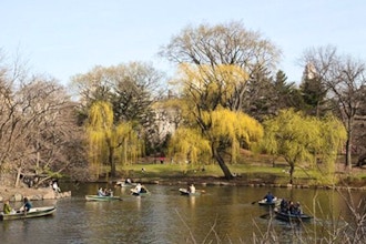 Digital Photography Live In-the-Field @ Central Park W