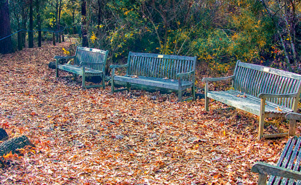 Digital Photography Live In-the-Field @ HANC