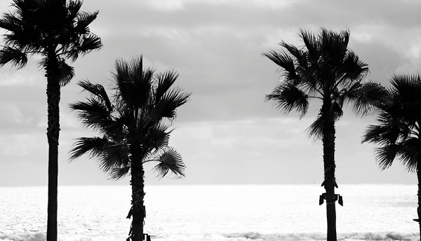 Digital Photography Live In-the-Field @ Ocean Beach