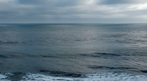 Digital Photography Live In-the-Field @ Ocean Beach