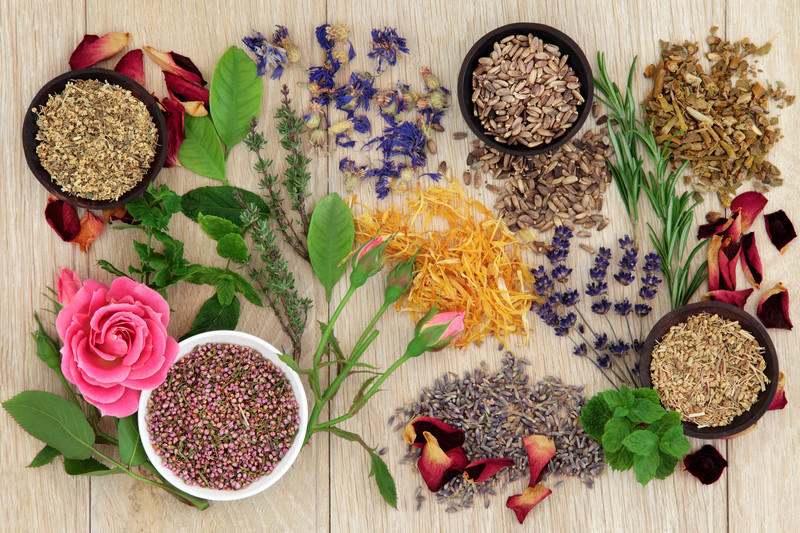 Herbal Skincare: Body Butters, Balms and Salves
