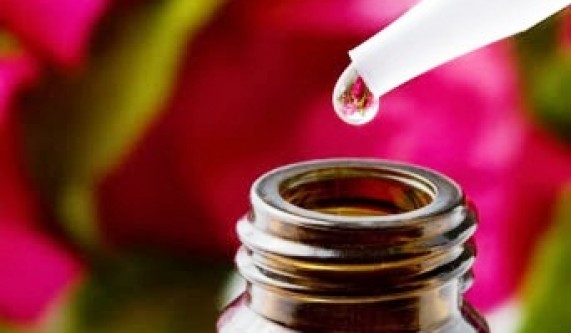 Mastering the Art of Essential Oil Blending