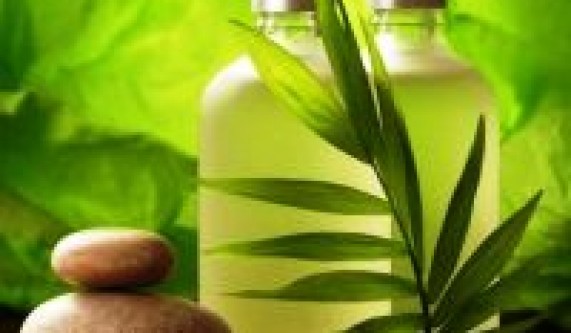 Haircare Products