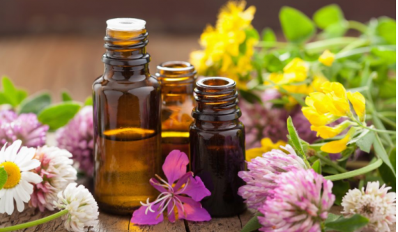 Organic Face Creams & Body Lotions