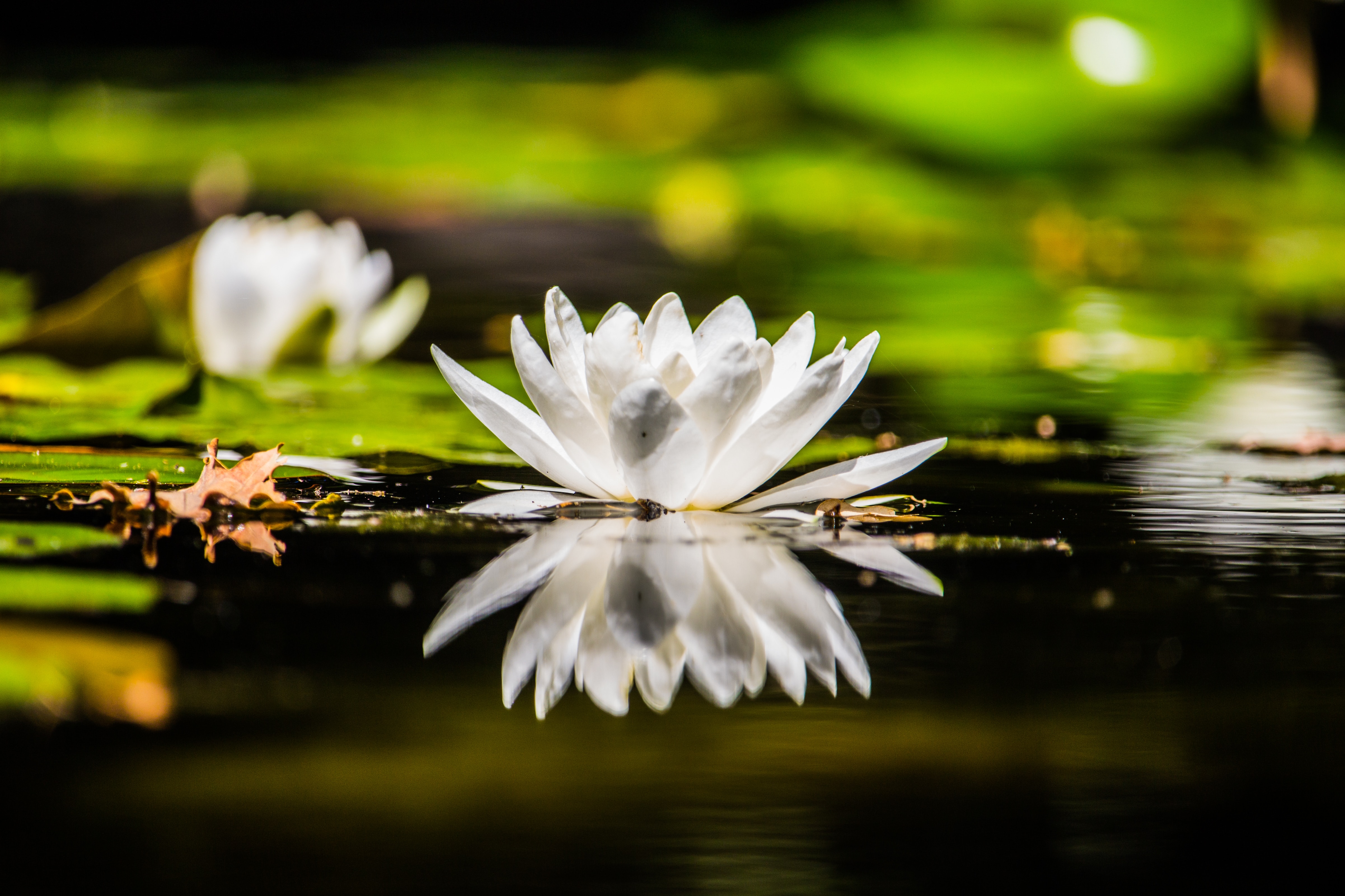 Aligning with Your Soul Destiny