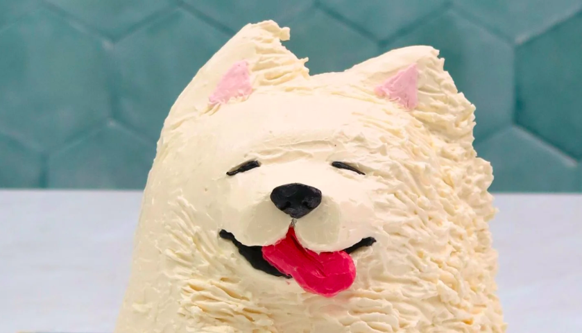 Junior Kids-Sweet Artistry Cake Camp