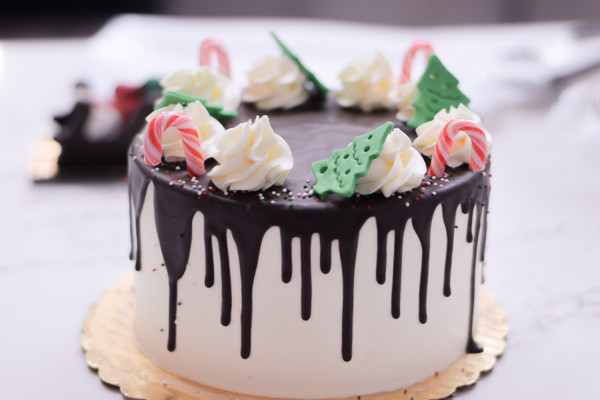 Drip Cake Cake Decorating Classes New York Coursehorse Ny
