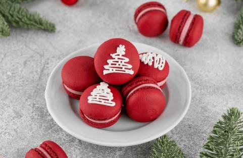 holiday macarons1.jpg
