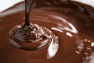 Candy Coating and Chocolate Molding