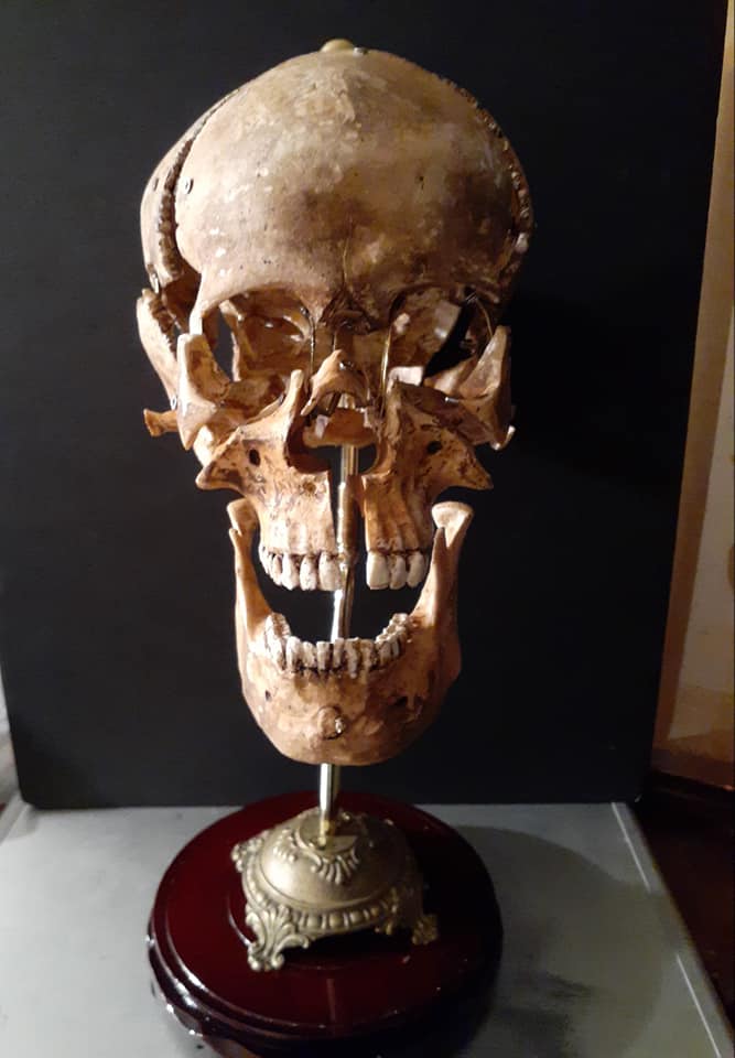 Introduction to Anatomy: The Head
