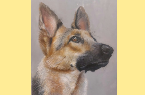 Classical Canine Portraiture