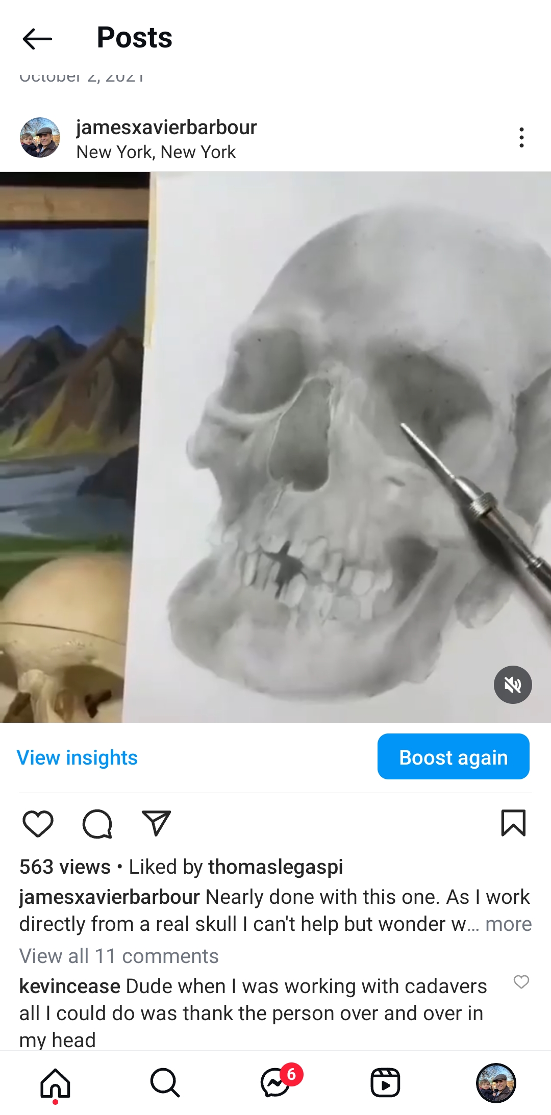 The Art of Silverpoint Drawing