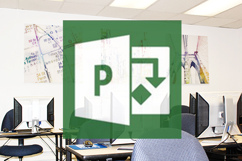 Microsoft Project Level II