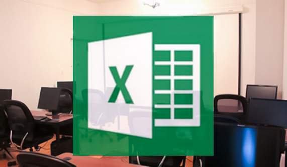 Excel VBA and Macros Level I