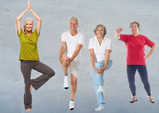 BFA: Balance, Fitness and Agility