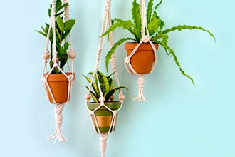 Macrame Plant Hanger WebJam (with Starter Kit)