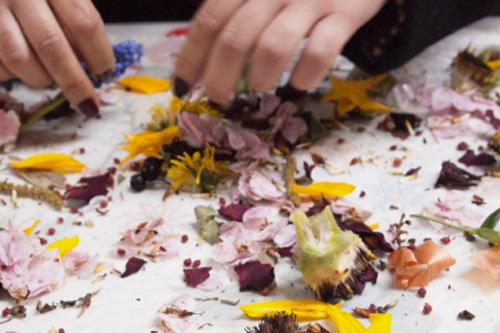 Bundle Dyeing with Floral Fauna Food and Rust