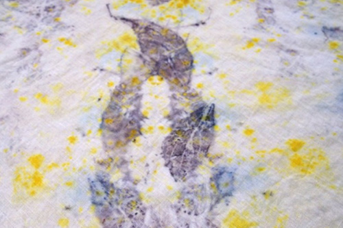 Floral and Fauna Bundle Dyeing