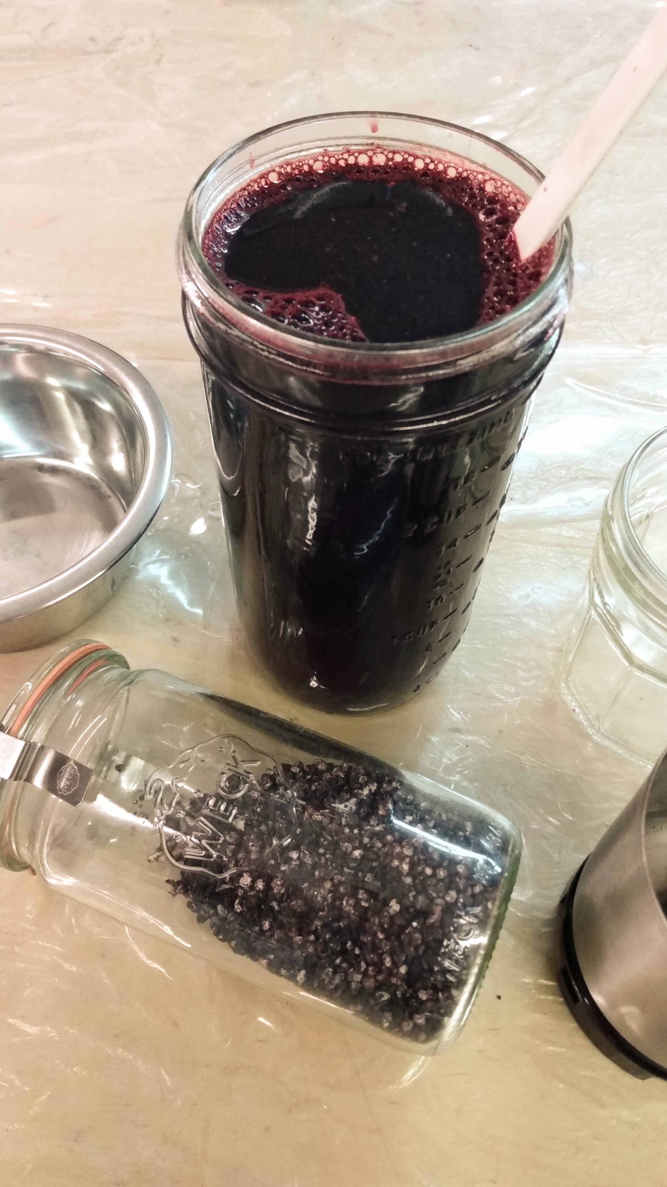 World of Natural Dyes; intensive