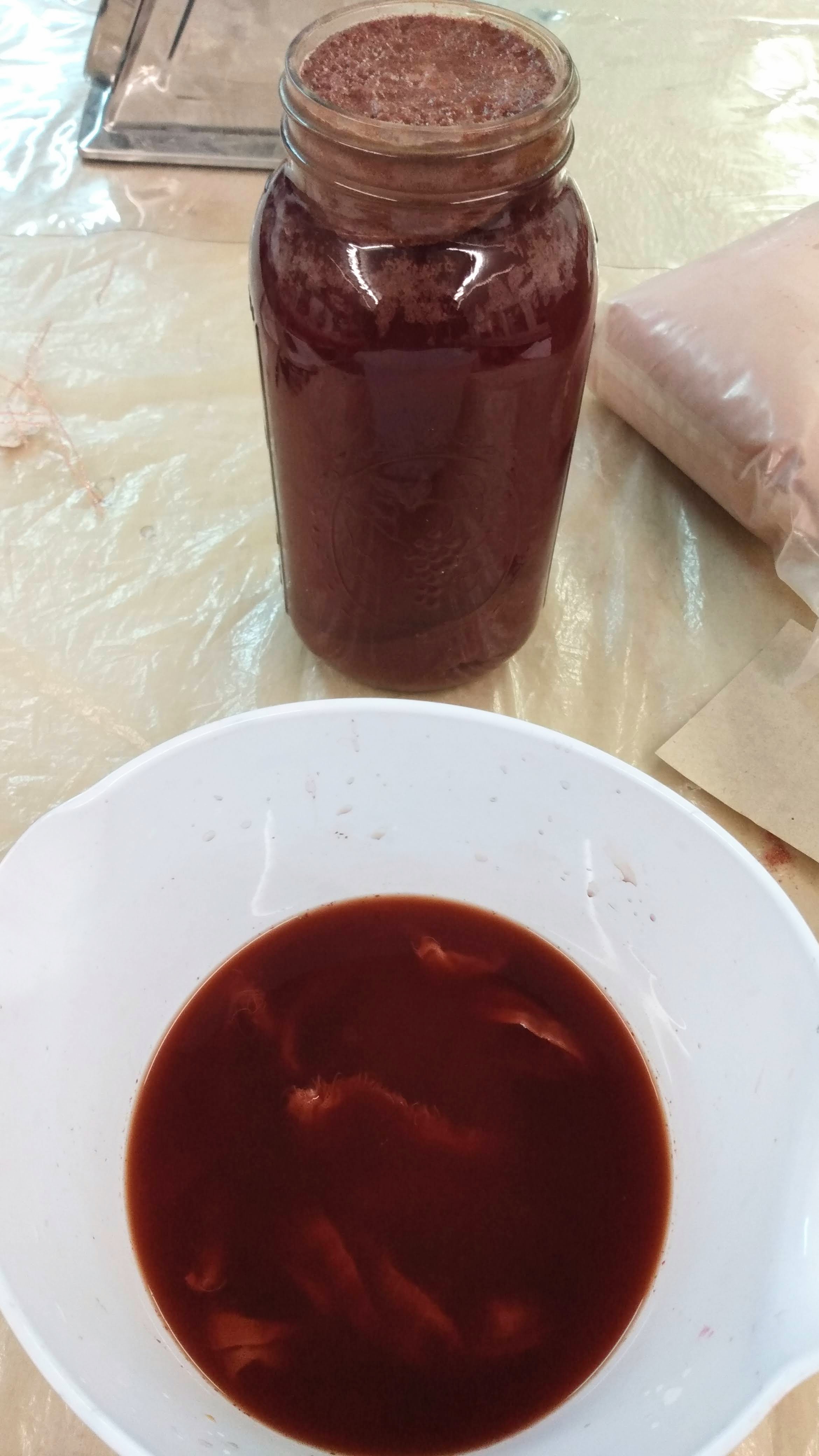 World of Natural Dyes; intensive